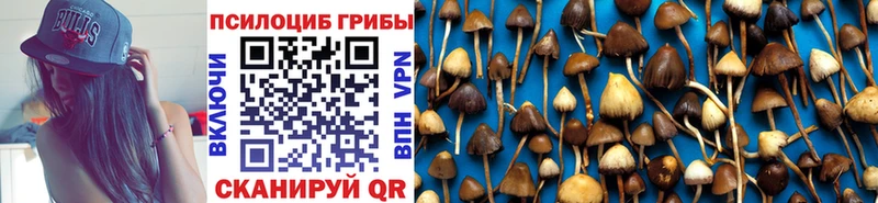 Галлюциногенные грибы Magic Shrooms Нелидово